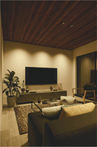 ܹ̿ Koizumi ߾ LEDⵤ̩SB饤 AD1175B35