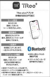  Koizumi ߾ 饤ȥȥ AE54344E