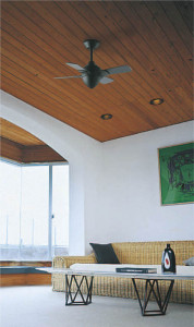 ܹ̿ Koizumi ߾ ƥꥢե AEE695079