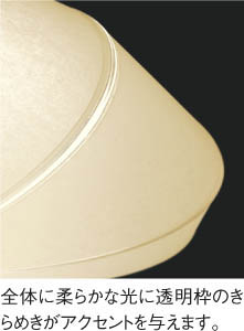 ħ̿ Koizumi ߾ LEDڥ AP50314