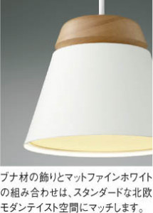 ħ̿ Koizumi ߾ LEDڥ AP51086