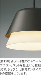 ħ̿ Koizumi ߾ LEDڥ AP51170