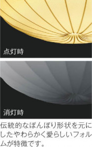 ħ̿ Koizumi ߾ LEDڥ AP51505