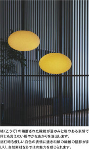 ħ̿ Koizumi ߾ LEDڥ AP55584