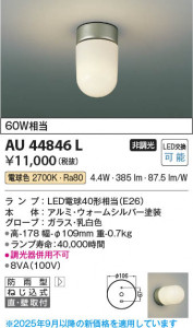 β Koizumi ߾ LEDɱ֥饱å AU44846L