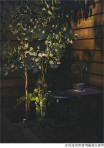 ܹ̿ Koizumi ߾ LED DC24Vƥꥢѥݥå AU92282