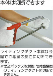  Koizumi ߾ 饤ƥ󥰥 WE0221