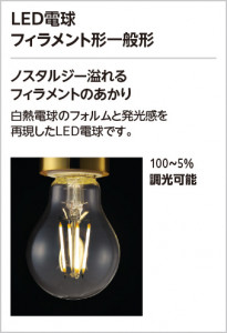 ODELIC ǥå ƥꥢ饤 OG254634LC2 ̿1