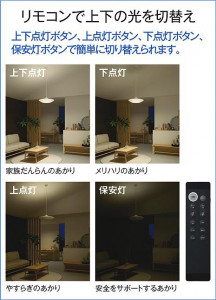 ����� | DAIKO ����ŵ� Ĵ���ڥ����� DPN-40979E