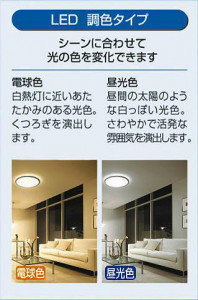 ����� | DAIKO ����ŵ� Ĵ���ڥ����� DPN-40983E