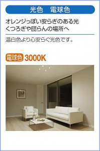 ����� | DAIKO ����ŵ� ���ݥåȥ饤�� DSL-5732YBG