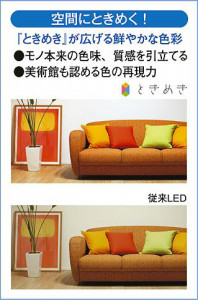 ����� | DAIKO ����ŵ� �֥饱�å� DBK-40425A