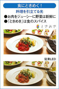 ����� | DAIKO ����ŵ� �֥饱�å� DBK-40425A