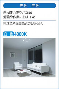 ����� | DAIKO ����ŵ� �١����饤�� DBL-5502NWG