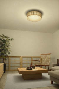1-V316-G.JPG | DAIKO ����ŵ� Ĵ��������� DCL-42170