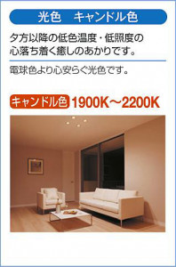 ����� | DAIKO ����ŵ� �ڥ����� DPN-42491YG