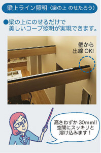 M_00056.JPG | DAIKO ����ŵ� ���ܾ����Ѵ�� DSY-4631YWGE