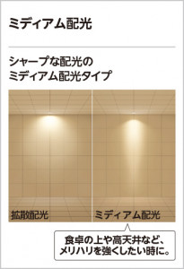 �����ߥǥ������۸�ODELIC �����ǥ�å� LED ������饤�� OD361240MLR | ���������̿����䡦����ƥꥢ���������Ρڥ饤�ȥ��������