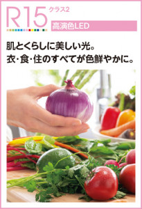 �����R15��鿧LEDODELIC �����ǥ�å� LED ����������󥰥饤�� OL291449WDR | ���������̿����䡦����ƥꥢ���������Ρڥ饤�ȥ��������
