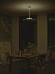 ����� | DAIKO ����ŵ� Ĵ���ڥ����� DPN-40984 | ���������̿����䡦����ƥꥢ���������Ρڥ饤�ȥ��������