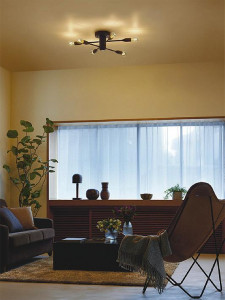 �ܹ��� | DAIKO ����ŵ� �����ǥꥢ DCH-41962Y