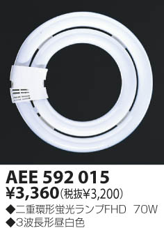 KOIZUMI   ָ  ָ򿧡  AEE592015