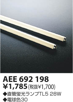 KOIZUMI �ָ����� AEE692198 �ᥤ��̿�