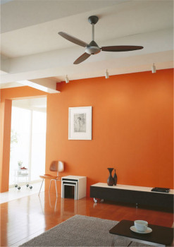 ƥꥢեODELICǥåWF504 WF503 WF506 WF505