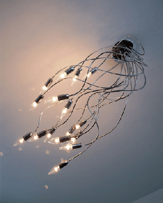 OC006849 OC006850 ǥꥢ ODELIC ǥå