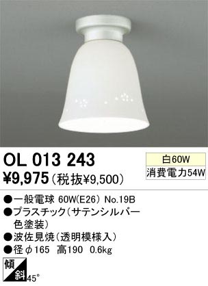 ODELIC �����ǥ�å� OL013243 OL013243 ������󥰥饤�� ��Ǯ�� �����ŵ�  �ץ饤�١���|�����|��ư���� ������󥰥饤�� ������ ��Ǯ��