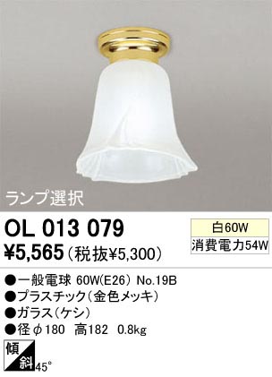 ODELIC �����ǥ�å� OL013079 OL013079 ������󥰥饤�� ��Ǯ�� �����ŵ�  �ץ饤�١���|�����|��ư���� ������󥰥饤�� ������ ��Ǯ��