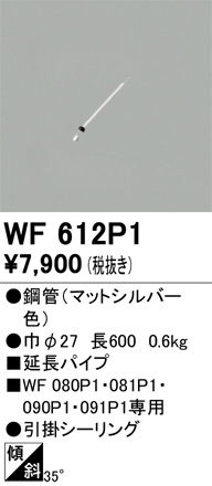 ñ�ʲ���ODELIC �����ǥ�å� ������󥰥ե��� WF612P1 | ���������̿����䡦����ƥꥢ���������Ρڥ饤�ȥ��������