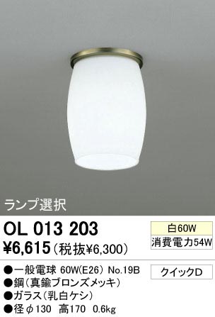 ODELIC �����ǥ�å� OL013203 OL013203 ������󥰥饤�� ��Ǯ�� �����ŵ�  �ץ饤�١���|��ư����|����� ������󥰥饤�� ������ ��Ǯ��