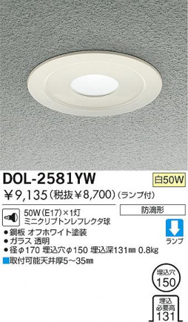 DAIKO �����ȥɥ��饤�ȡ� ����������饤�ȡ�DOL-2581YW