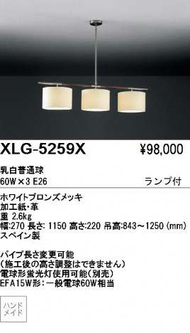 ��ƣ������ENDO��ABiTA���ڥ����ȡ�XLG-5259X�������˥󥰥ơ��֥롡