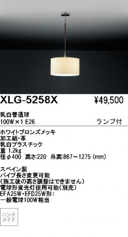 ��ƣ������ENDO��ABiTA���ڥ����ȡ�XLG-5258X