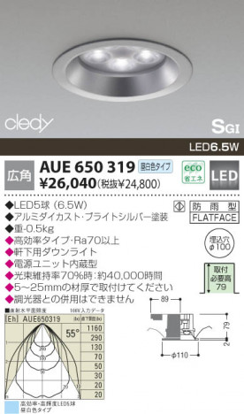 KOIZUMI �������� �������� LED����������饤�� �����ȥɥ��饤�� LED�����򿧥����ס�  AUE650319