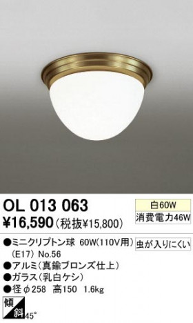 ODELIC �����ǥ�å� OL013063 OL013063 ������󥰥饤�� ��Ǯ�� �ߥ˥���ץȥ��  �ץ饤�١���|��ư���� ������󥰥饤�� ������ ��Ǯ��