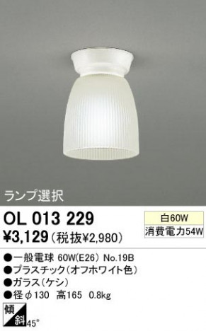 ODELIC �����ǥ�å� OL013229 OL013229 ������󥰥饤�� ��Ǯ�� �����ŵ�  �ץ饤�١���|�����|��ư���� ������󥰥饤�� ������ ��Ǯ��