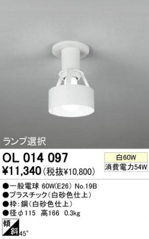 ODELIC �����ǥ�å� OL014097 OL014097 ������󥰥饤�� ��Ǯ�� �����ŵ� ���� �¼�|�ץ饤�١���|�����|��ư���� �����б����� ������󥰥饤�� ������ ��Ǯ��