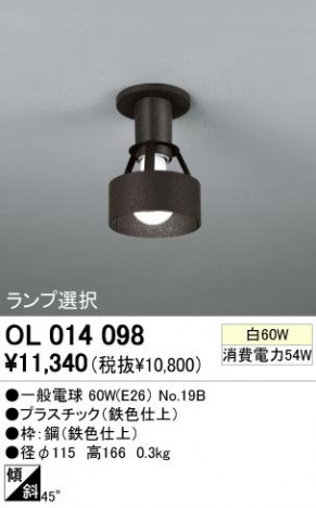 ODELIC �����ǥ�å� OL014098 OL014098 ������󥰥饤�� ��Ǯ�� �����ŵ� ���� �¼�|�ץ饤�١���|�����|��ư���� �����б����� ������󥰥饤�� ������ ��Ǯ��