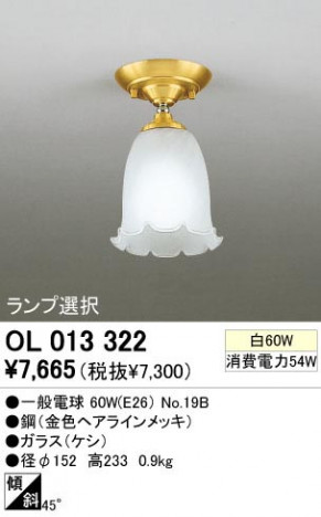 ODELIC �����ǥ�å� OL013322 OL013322 ������󥰥饤�� ��Ǯ�� �����ŵ�  �ץ饤�١���|�����|��ư���� ������󥰥饤�� ������ ��Ǯ��