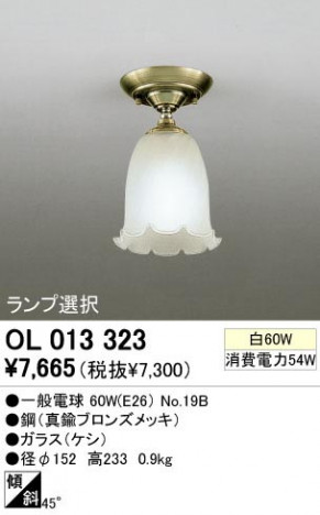 ODELIC �����ǥ�å� OL013323 OL013323 ������󥰥饤�� ��Ǯ�� �����ŵ� ����ץ�����|���饷�å������쥬��� �ץ饤�١���|�����|��ư���� ������󥰥饤�� ������ ��Ǯ��