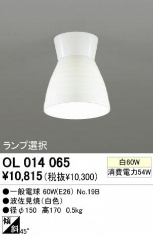 ODELIC ǥå OL014065 OL014065 󥰥饤 Ǯ ŵ  ץ饤١||ư 󥰥饤  Ǯ