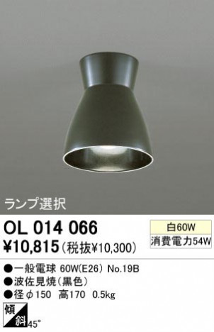 ODELIC �����ǥ�å� OL014066 OL014066 ������󥰥饤�� ��Ǯ�� �����ŵ�  �ץ饤�١���|�����|��ư���� ������󥰥饤�� ������ ��Ǯ��