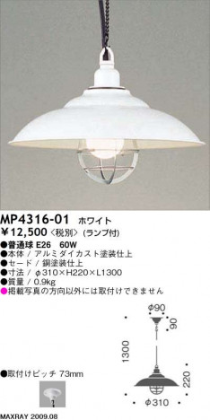 MAXRAY���ڥ����ȥ饤�ȡ���������Υ���ץ륷�����ɡ�MP4316-01