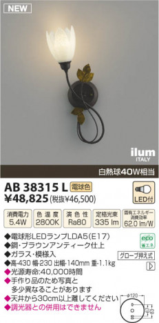 �������߾��� KOIZUMI LED�����֥饱�å� AB38315L ���β���