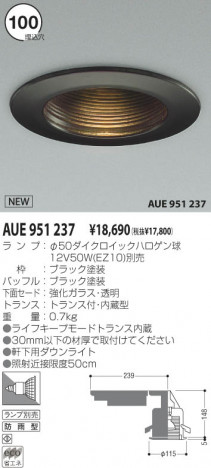 �������߾��� KOIZUMI �����ѥ�����饤�� AUE951237 �����ȥɥ��饤����Ǯ�ϥ������ koizumi aue951237