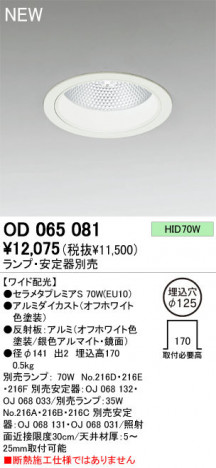 ODELIC ǥå 饤 OD065081᥿ץߥS odelic od065081