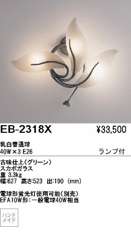 ��ƣ���� ENDO �֥饱�å� EB-2318X